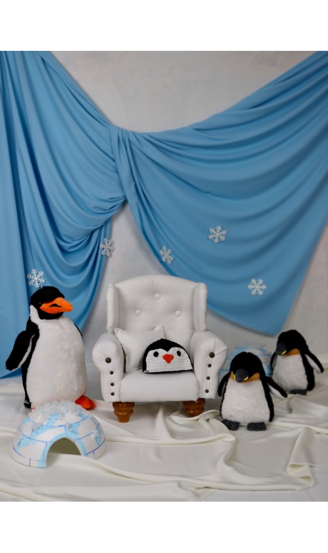 Penguenli Çekim Konsepti