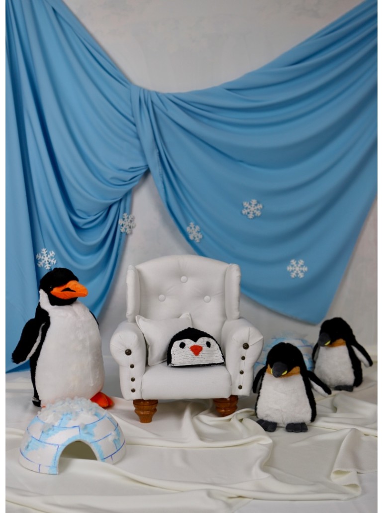 Penguenli Çekim Konsepti