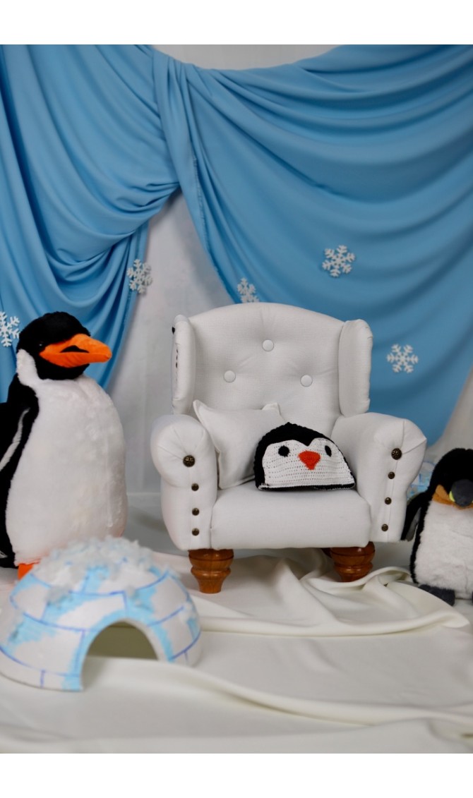 Penguenli Çekim Konsepti
