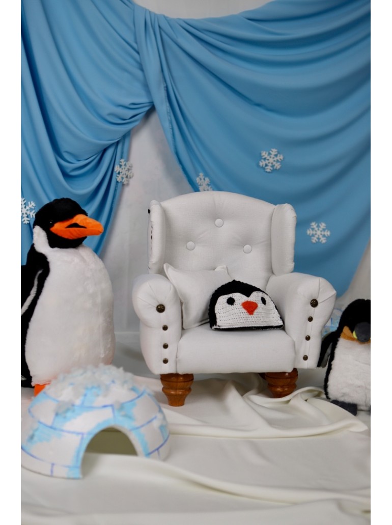 Penguenli Çekim Konsepti