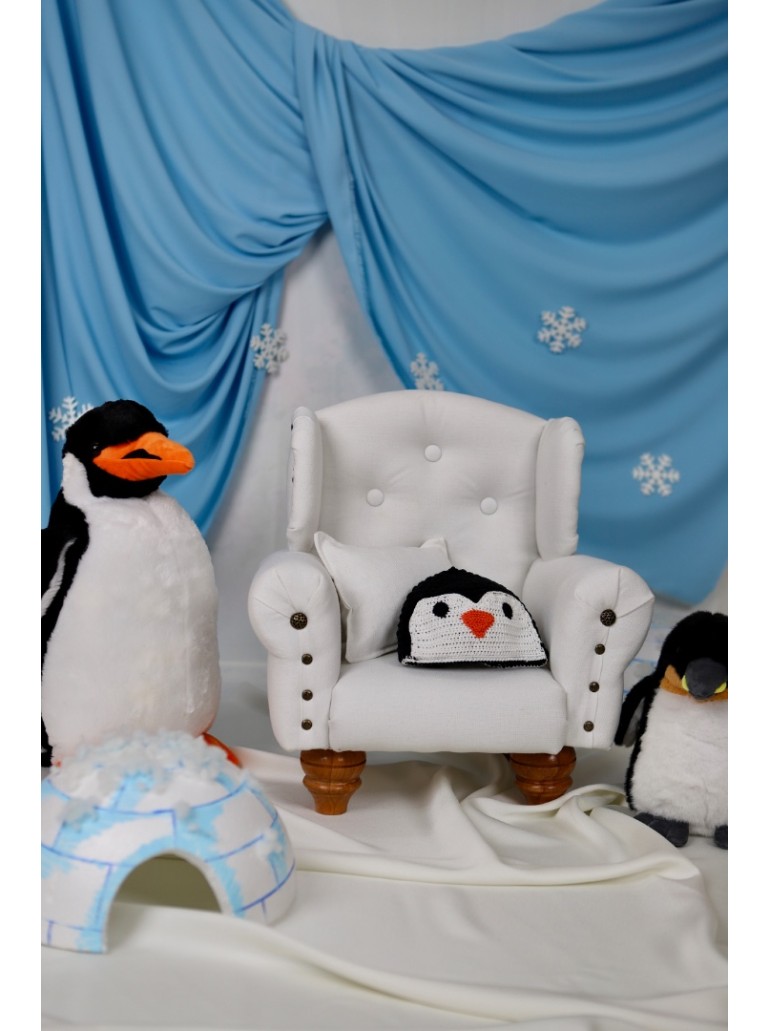 Penguenli Çekim Konsepti
