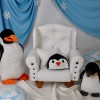 Penguenli Çekim Konsepti