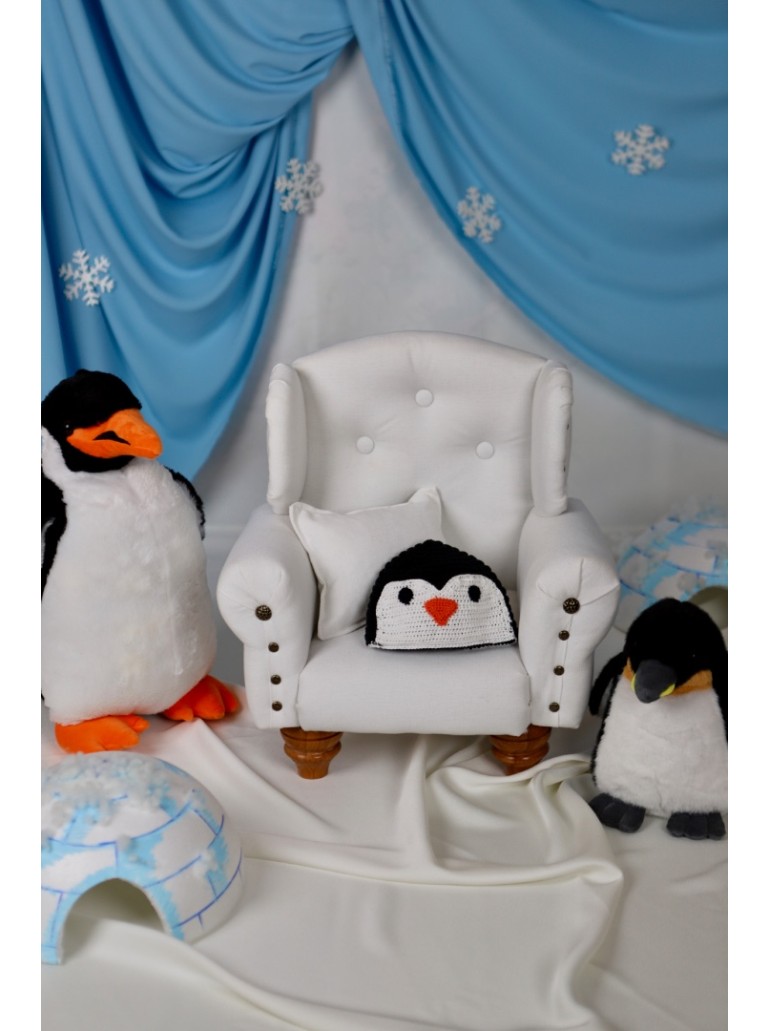 Penguenli Çekim Konsepti