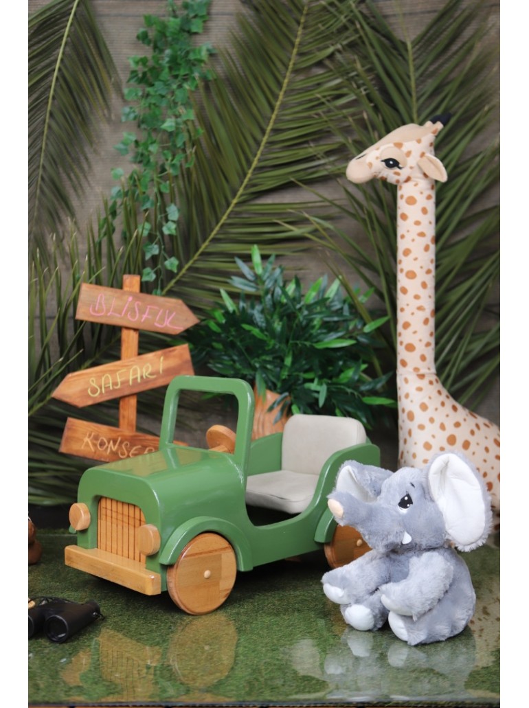 Safari Konsepti